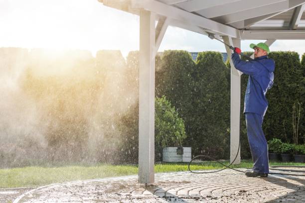 Best Soft Washing for Delicate Surfaces in Alum Creek, WV